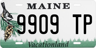 ME license plate 9909TP