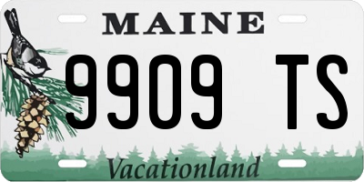 ME license plate 9909TS
