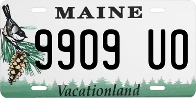 ME license plate 9909UO