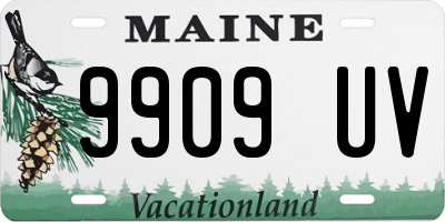 ME license plate 9909UV