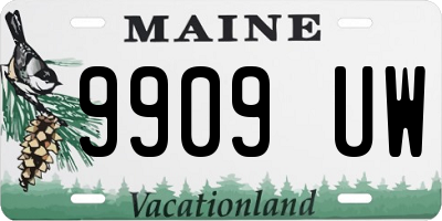 ME license plate 9909UW