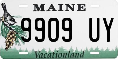 ME license plate 9909UY