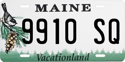 ME license plate 9910SQ