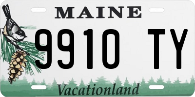 ME license plate 9910TY