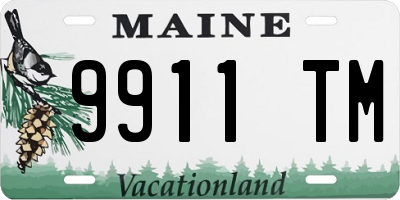 ME license plate 9911TM
