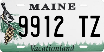 ME license plate 9912TZ