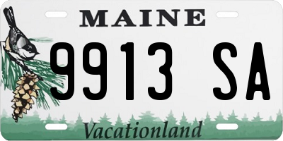 ME license plate 9913SA