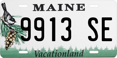 ME license plate 9913SE