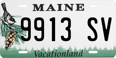 ME license plate 9913SV