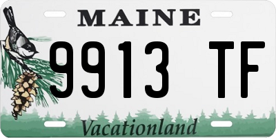 ME license plate 9913TF