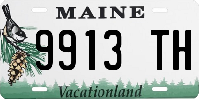 ME license plate 9913TH