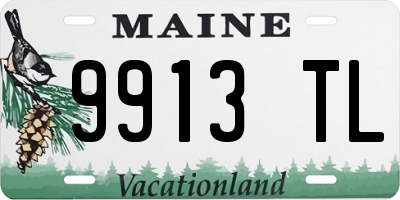 ME license plate 9913TL