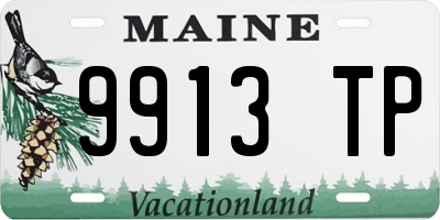 ME license plate 9913TP