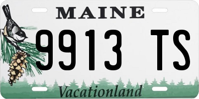 ME license plate 9913TS
