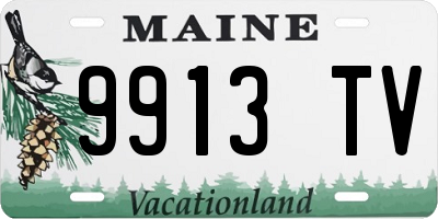 ME license plate 9913TV