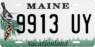 ME license plate 9913UY