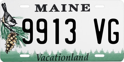 ME license plate 9913VG