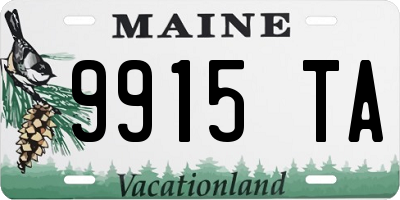 ME license plate 9915TA