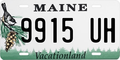 ME license plate 9915UH
