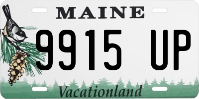 ME license plate 9915UP