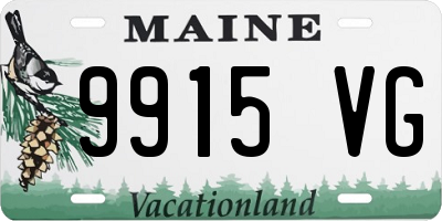 ME license plate 9915VG