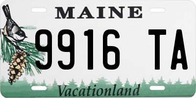 ME license plate 9916TA
