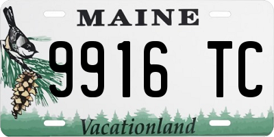 ME license plate 9916TC