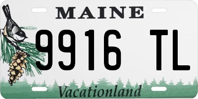 ME license plate 9916TL