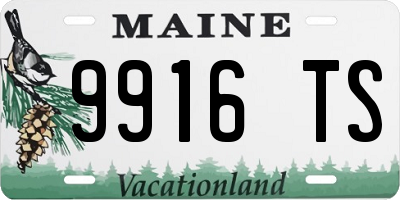 ME license plate 9916TS