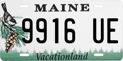 ME license plate 9916UE