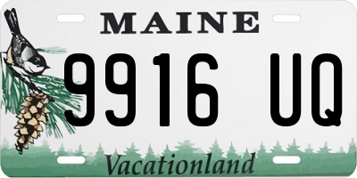 ME license plate 9916UQ