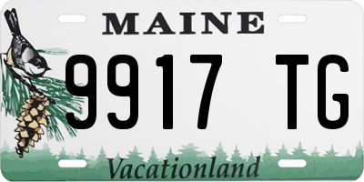 ME license plate 9917TG