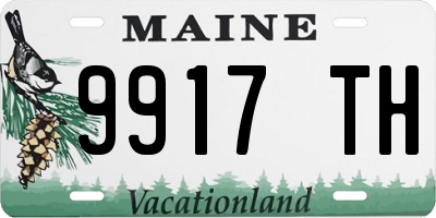 ME license plate 9917TH