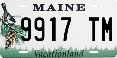 ME license plate 9917TM