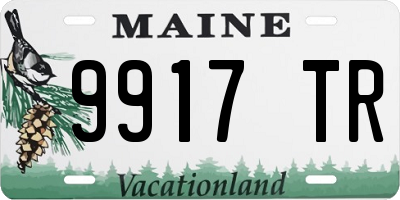 ME license plate 9917TR