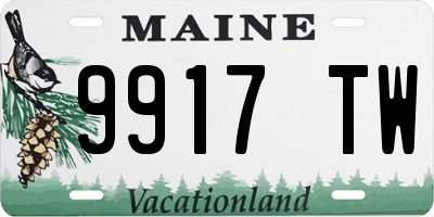 ME license plate 9917TW