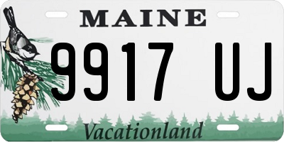 ME license plate 9917UJ