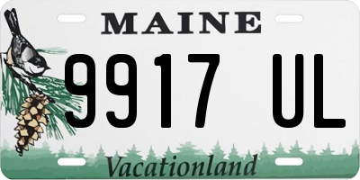 ME license plate 9917UL