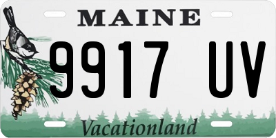 ME license plate 9917UV