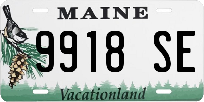 ME license plate 9918SE