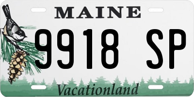 ME license plate 9918SP