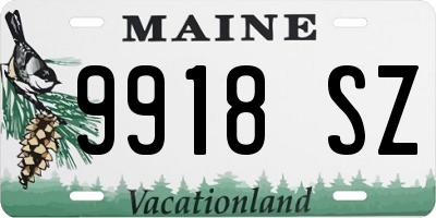 ME license plate 9918SZ