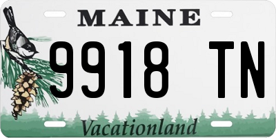 ME license plate 9918TN