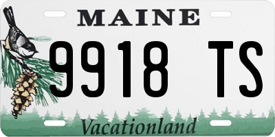 ME license plate 9918TS