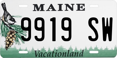 ME license plate 9919SW