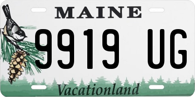 ME license plate 9919UG