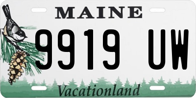 ME license plate 9919UW