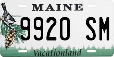 ME license plate 9920SM
