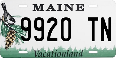 ME license plate 9920TN