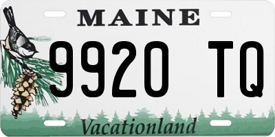 ME license plate 9920TQ